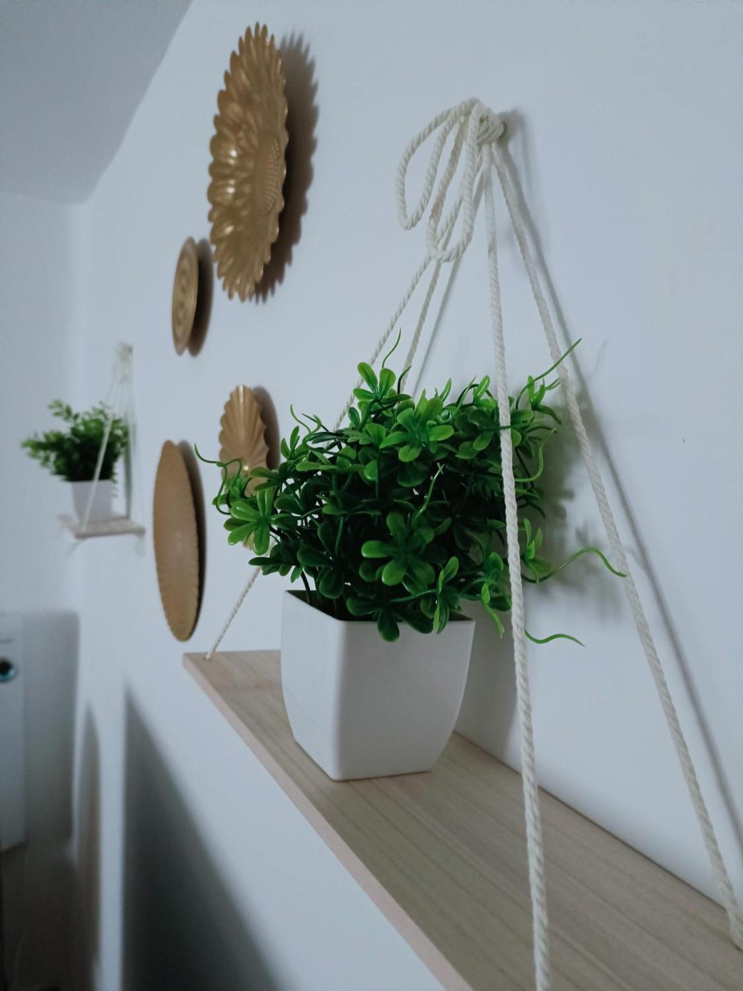 Casa Cobo Exclusivo En Apartment